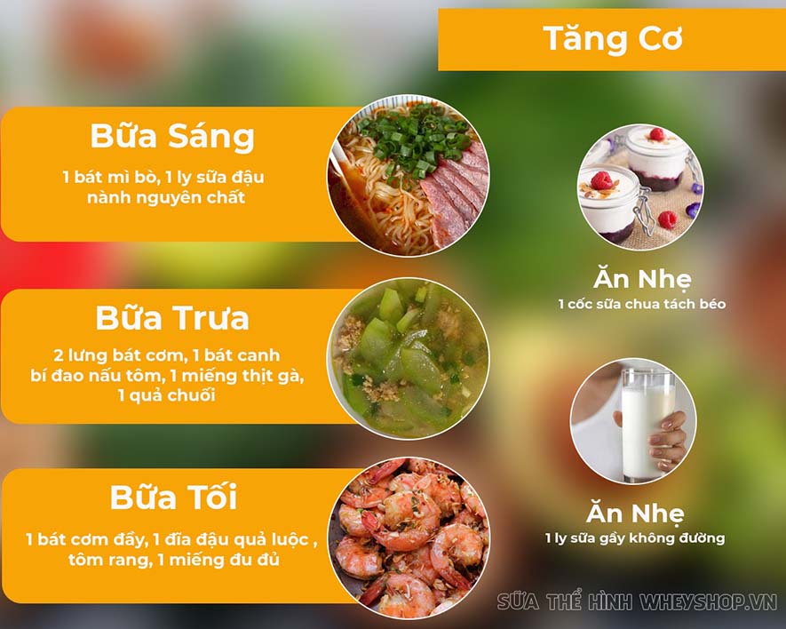 Bạn đang tập gym để hình thể đẹp hơn? Bạn đã biết đến thực đơn cho người tập gym chưa? Cùng tham khảo hướng dẫn xây dựng thực đơn cho người tập gym qua bài viết