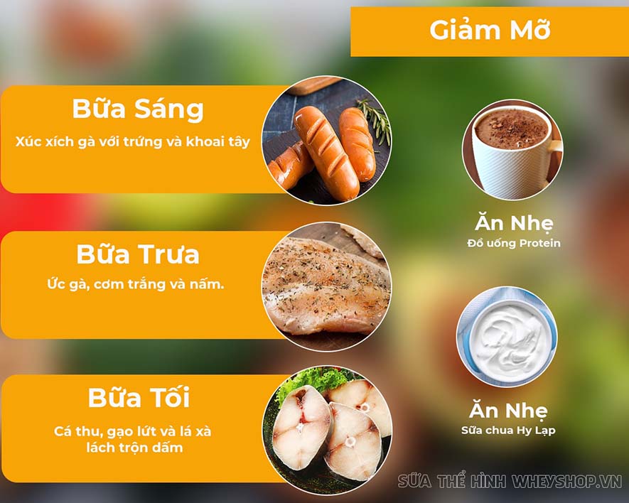 Bạn đang tập gym để hình thể đẹp hơn? Bạn đã biết đến thực đơn cho người tập gym chưa? Cùng tham khảo hướng dẫn xây dựng thực đơn cho người tập gym qua bài viết