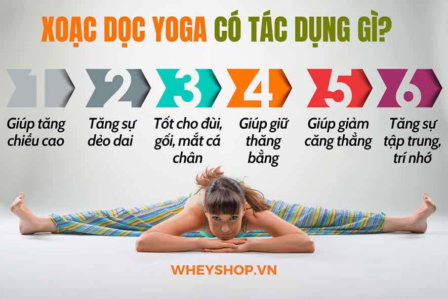 Xoạc dọc Yoga hay xoạc chân là một trong những tư thế được xếp vào nhóm tư thế khó trong Yoga mà đến những người tập Yoga lâu năm cũng có thể gặp khó khăn...