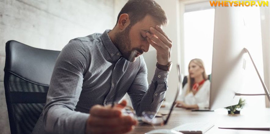 Nếu bạn đang tìm hướng dẫn chơi ván trượt thì hãy cùng WheyShop tham khảo kiến thức chơi ván trượt từ cơ bản tới nâng cao qua bài viết ngay nhé...