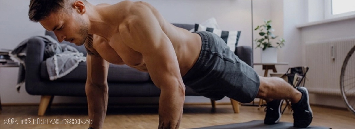 Chống đẩy Push Up là bài tập đơn giản nhưng hiệu quả hàng đầu cho cơ ngực, vay và tay phát triển. Push Up dễ dàng thực hiện, không cần dụng cụ, hiệu quả nhanh