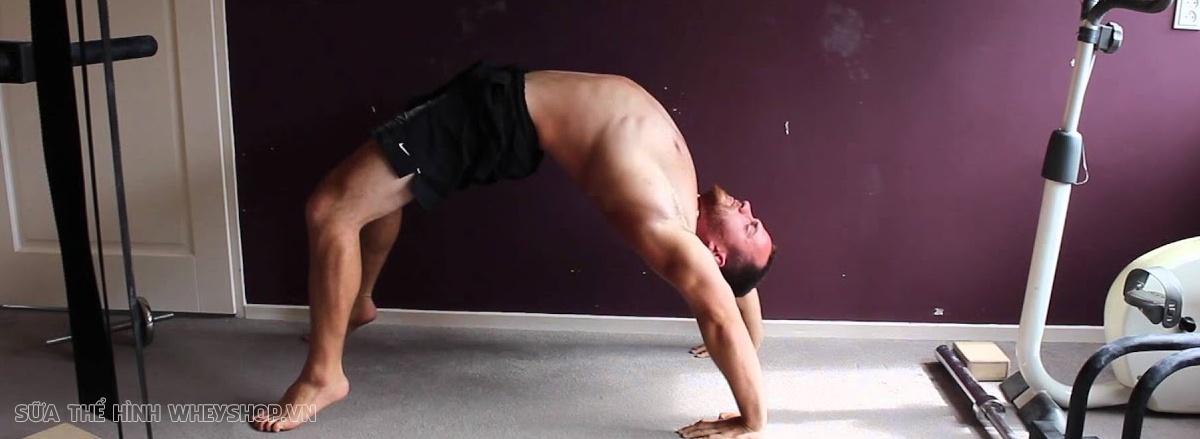 Chống đẩy Push Up là bài tập đơn giản nhưng hiệu quả hàng đầu cho cơ ngực, vay và tay phát triển. Push Up dễ dàng thực hiện, không cần dụng cụ, hiệu quả nhanh