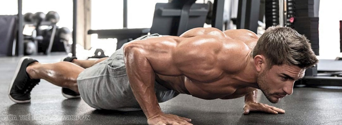 Chống đẩy Push Up là bài tập đơn giản nhưng hiệu quả hàng đầu cho cơ ngực, vay và tay phát triển. Push Up dễ dàng thực hiện, không cần dụng cụ, hiệu quả nhanh