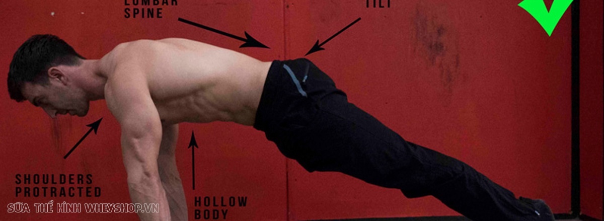 Chống đẩy Push Up là bài tập đơn giản nhưng hiệu quả hàng đầu cho cơ ngực, vay và tay phát triển. Push Up dễ dàng thực hiện, không cần dụng cụ, hiệu quả nhanh