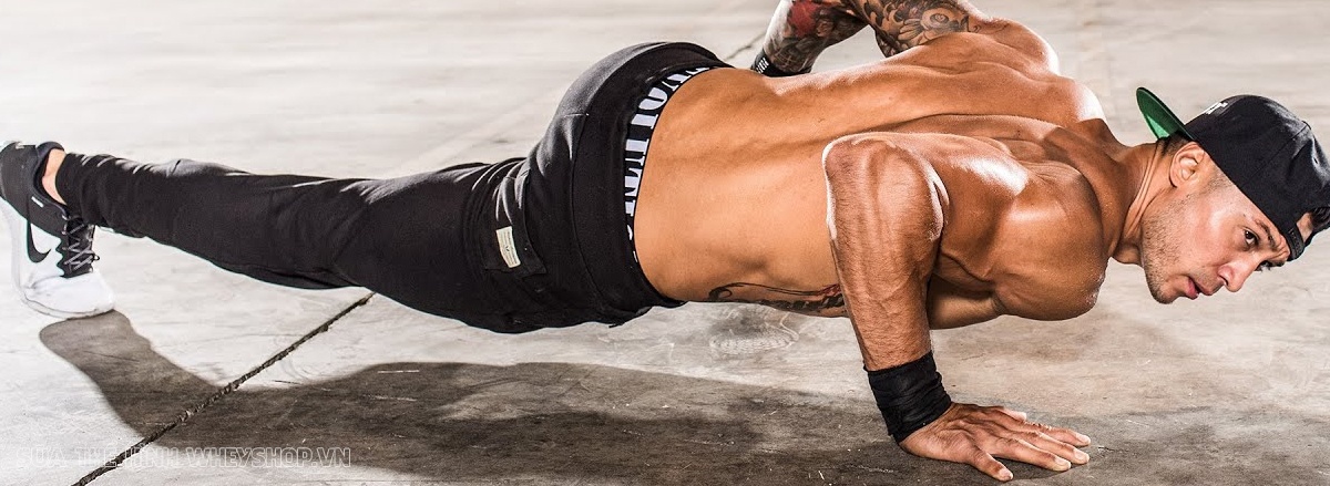 Chống đẩy Push Up là bài tập đơn giản nhưng hiệu quả hàng đầu cho cơ ngực, vay và tay phát triển. Push Up dễ dàng thực hiện, không cần dụng cụ, hiệu quả nhanh