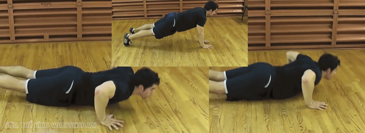 Chống đẩy Push Up là bài tập đơn giản nhưng hiệu quả hàng đầu cho cơ ngực, vay và tay phát triển. Push Up dễ dàng thực hiện, không cần dụng cụ, hiệu quả nhanh
