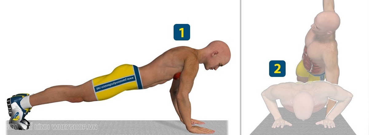 Chống đẩy Push Up là bài tập đơn giản nhưng hiệu quả hàng đầu cho cơ ngực, vay và tay phát triển. Push Up dễ dàng thực hiện, không cần dụng cụ, hiệu quả nhanh