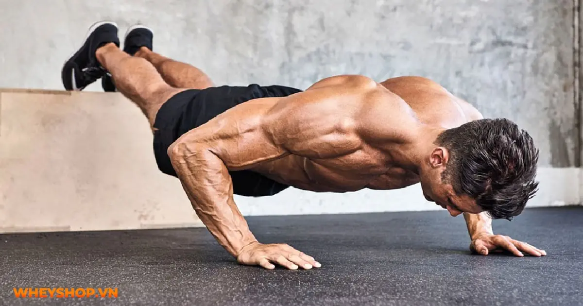 huong-dan-hit-dat-dung-cach-co-ban-cho-nguoi-moi-tap-01-min