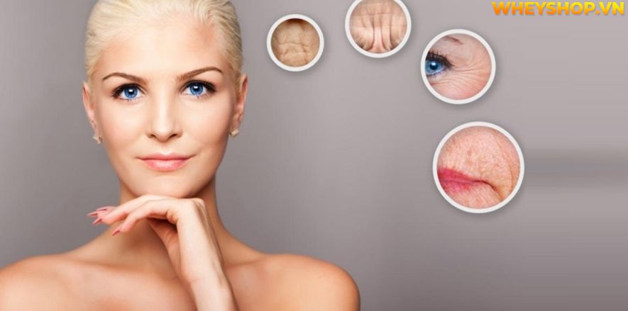 Nếu bạn đang băn khoăn tìm cách học nhảy cha cha cha thì hãy cùng WheyShop tham khảo chi tiết bài viết ngay sau đây hướng dẫn nhé...