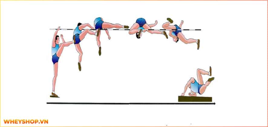 Nhảy cao là một trong những bộ môn thể thao phổ biến trong những năm gần đây. Trong bài viết này, cùng WheyShop tìm hiểu nhảy cao là gì và kỹ thuật nhảy cao...
