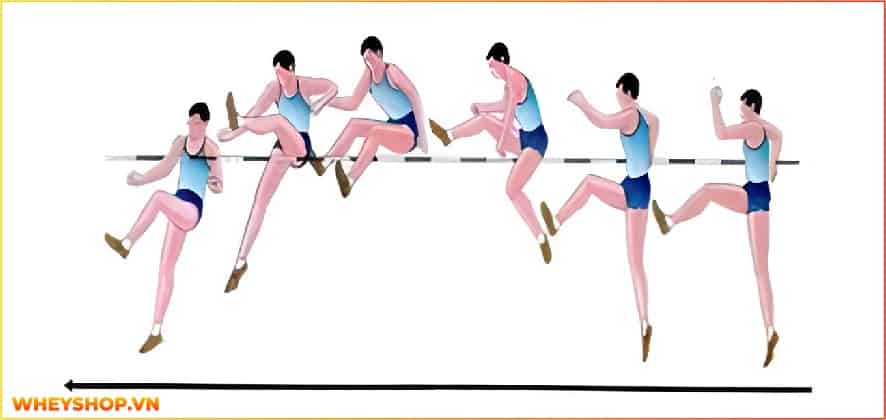 Nhảy cao là một trong những bộ môn thể thao phổ biến trong những năm gần đây. Trong bài viết này, cùng WheyShop tìm hiểu nhảy cao là gì và kỹ thuật nhảy cao...
