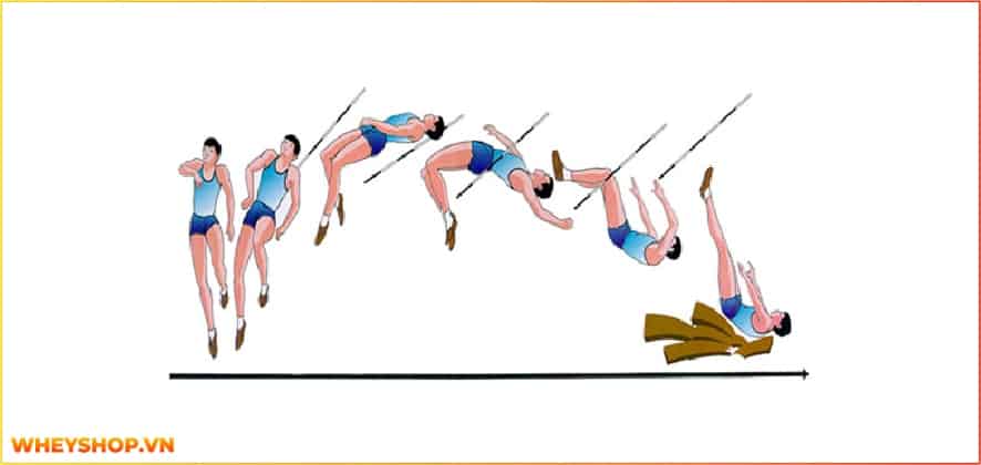 Nhảy cao là một trong những bộ môn thể thao phổ biến trong những năm gần đây. Trong bài viết này, cùng WheyShop tìm hiểu nhảy cao là gì và kỹ thuật nhảy cao...