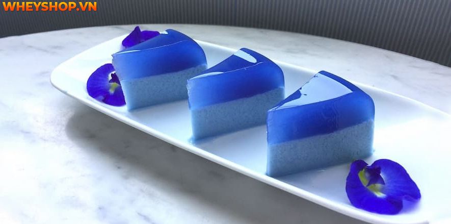 Nếu bạn đang muốn tìm hiểu về cách pha nước hoa đậu biếc giảm cân và bạn đang lo lắng không biết pha như thế nào là đúng cách và hiệu quả tốt nhất? Thì bài...