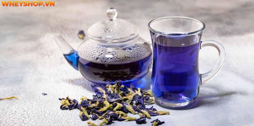 Nếu bạn đang muốn tìm hiểu về cách pha nước hoa đậu biếc giảm cân và bạn đang lo lắng không biết pha như thế nào là đúng cách và hiệu quả tốt nhất? Thì bài...