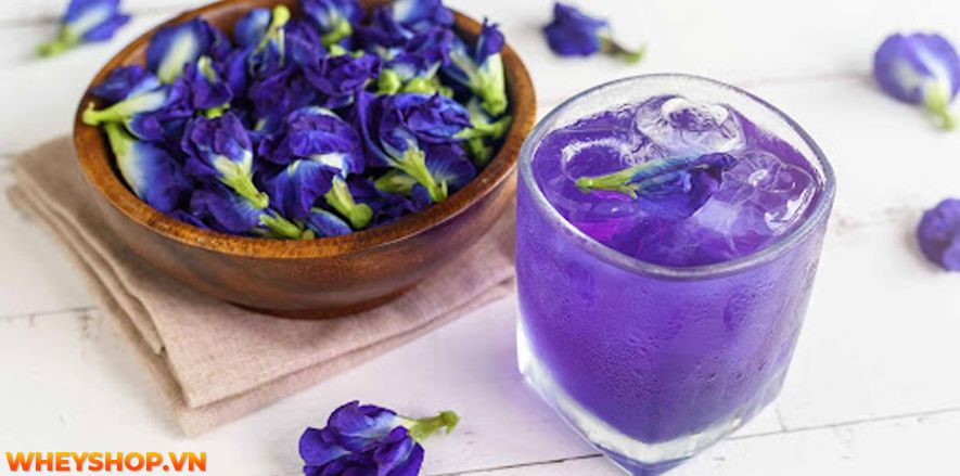 Nếu bạn đang muốn tìm hiểu về cách pha nước hoa đậu biếc giảm cân và bạn đang lo lắng không biết pha như thế nào là đúng cách và hiệu quả tốt nhất? Thì bài...
