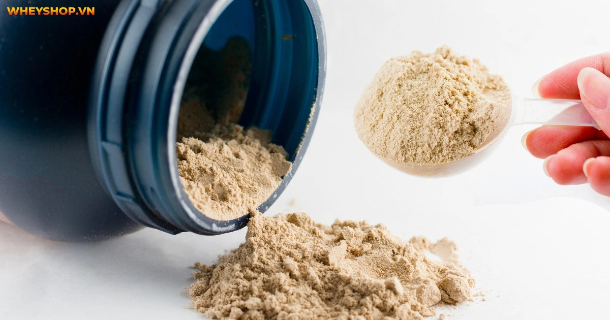 huong-dan-phan-biet-whey-protein-that-va-whey-gia-1