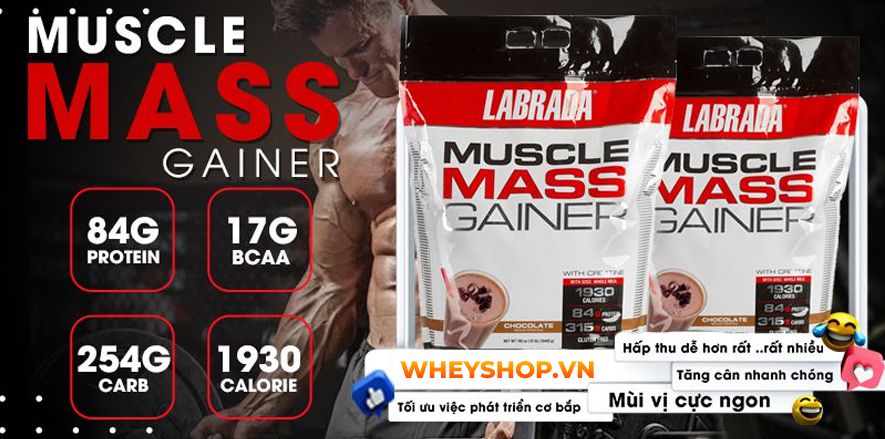 Người gầy có nên uống sữa tăng cân không? Cùng WheyShop tìm hiểu ngay 6 lý do thuyết phục nhất dành cho người gầy băn khoăn về sữa tăng cân nhé...