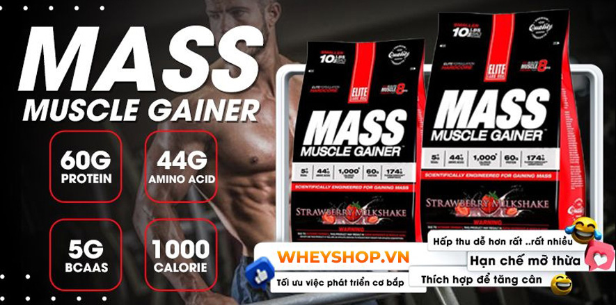 Nếu bạn đang băn khoăn tìm review sữa tăng cân cho người gầy giá bình dân thì hãy cùng WheyShop đánh giá top 20 sữa tăng cân giá bình dân tốt nhất...