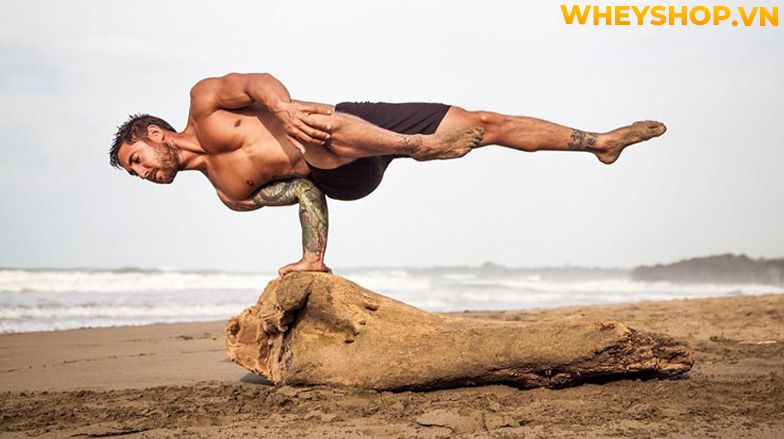 Asana là gì ? Asana Yoga là một bộ phận nhỏ của yoga nhưng nó cũng đóng vai trò quan trọng không kém các loại hình yoga khác. Vậy asana yoga có nghĩa là gì?...