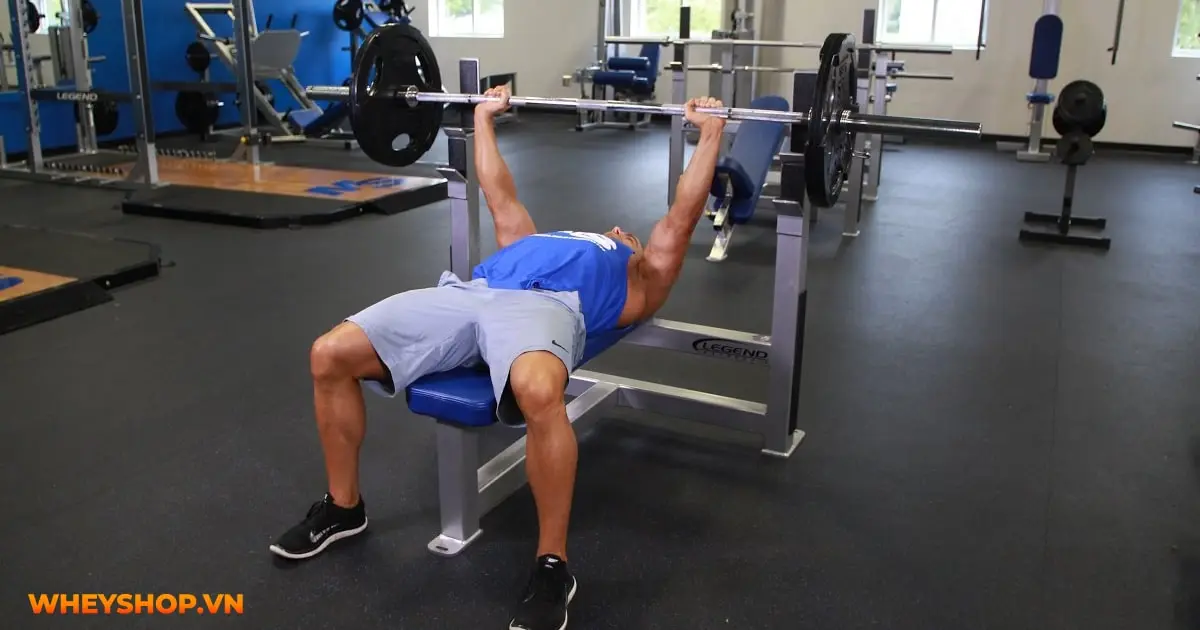 huong-dan-tap-nguc-bench-press-04-min