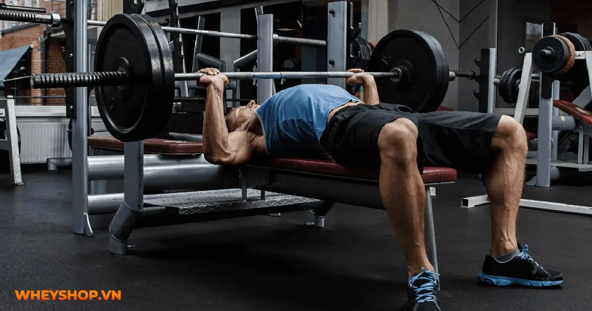 huong-dan-tap-nguc-bench-press-04-min