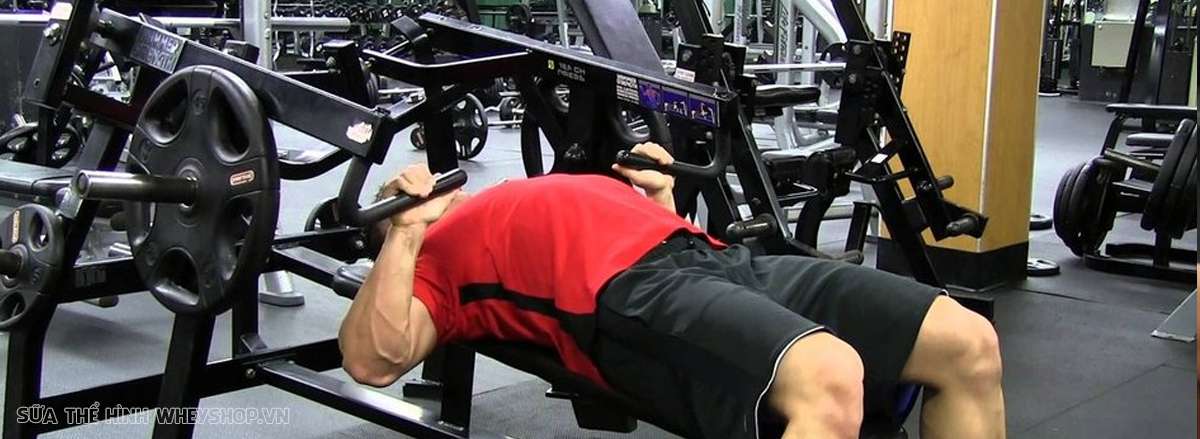 huong dan tap nguc Bench Press chinh xac nhat Bench Press Machine