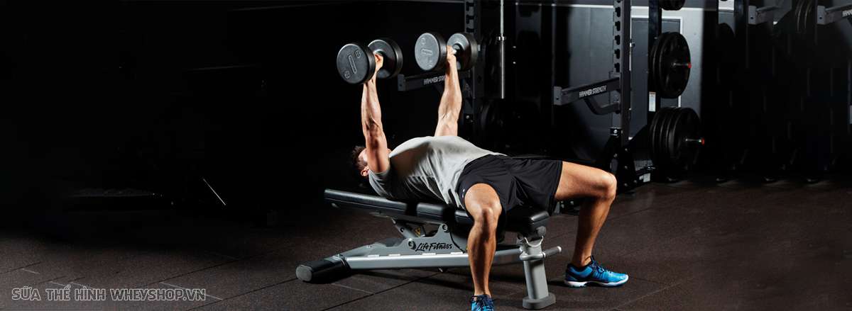 huong dan tap nguc Bench Press chinh xac nhat dumbell Bench Press