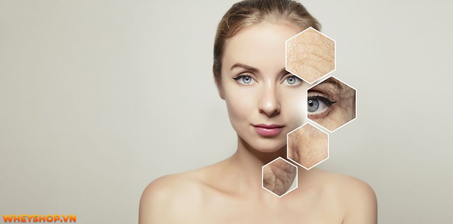 Zumba là một trong những điệu nhảy phổ biến nhất của Mỹ La-tinh. Nếu muốn học nhảy Zumba cơ bản, bạn có thể tự tập Zumba cơ bản tại nhà hoặc đến các phòng...