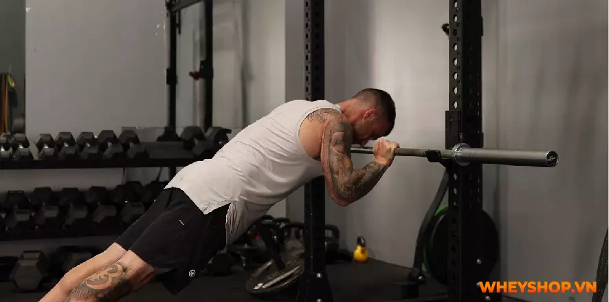 Cơ tam đầu là 1 nhóm cơ lớn hơn giúp bổ sung sức mạnh cho cánh tay trên.Hãy cùng WheyShop gợi ý 13 bài tập cơ tam đầu tại nhà hiệu quả giúp bạn có cánh tay...