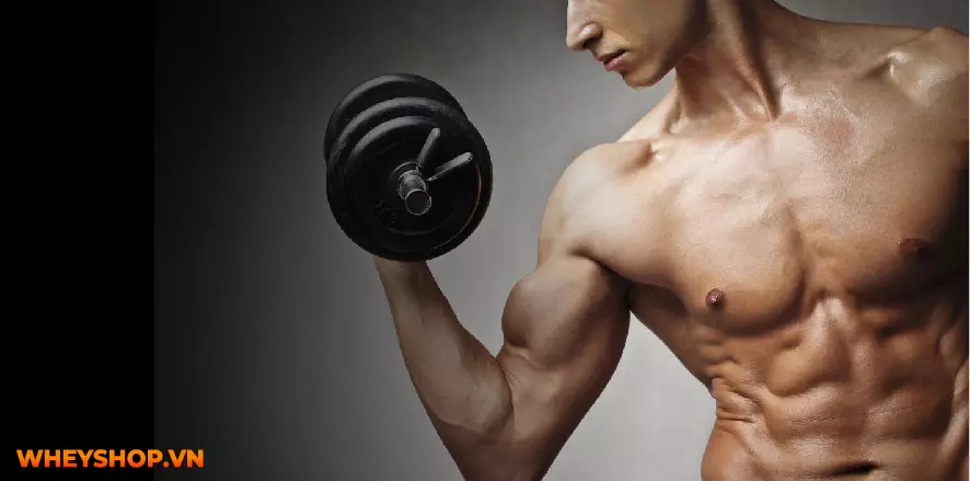 Cơ tam đầu là 1 nhóm cơ lớn hơn giúp bổ sung sức mạnh cho cánh tay trên.Hãy cùng WheyShop gợi ý 13 bài tập cơ tam đầu tại nhà hiệu quả giúp bạn có cánh tay...