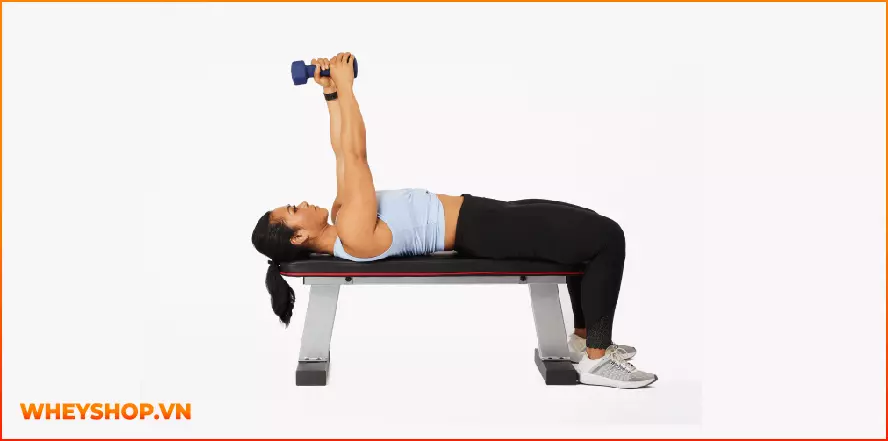 Cơ tam đầu là 1 nhóm cơ lớn hơn giúp bổ sung sức mạnh cho cánh tay trên.Hãy cùng WheyShop gợi ý 13 bài tập cơ tam đầu tại nhà hiệu quả giúp bạn có cánh tay...