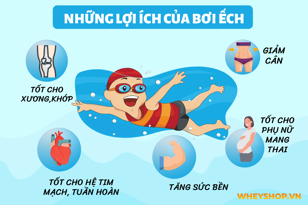 Lý do nhiều người chọn bơi ếch để bắt đầu với môn thể thao này là vì chúng ta có thể tiếp thu các kỹ thuật của nó một cách nhanh chóng và có nhiều lợi ích...