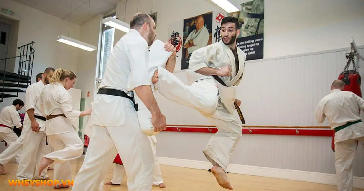 kham-pha-kyokushin-karate-ky-luat-tao-nen-suc-manh-03-min