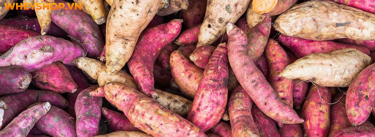 Khoai lang là thực phẩm quen thuộc hằng ngày, tuy nhiên bạn đã hiểu hết công dụng của chúng chưa? Hãy cùng WheyShop điểm qua 20 công dụng..