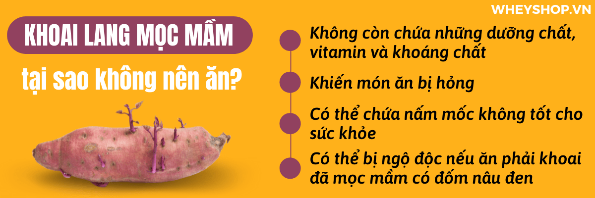 Nếu bạn đang băn khoăn khoai lang mọc mầm có ăn được không thì hãy cùng WheyShop tham khảo chi tiết bài viết ngay sau đây nhé...