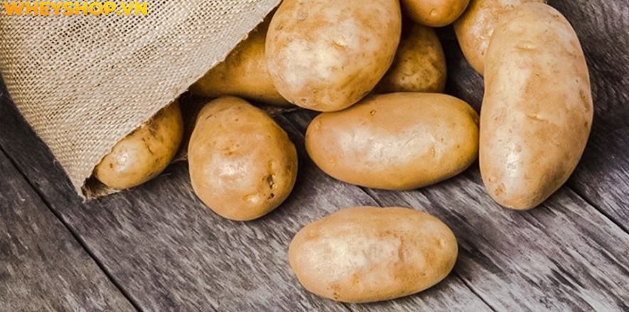 Nếu bạn đang băn khoăn khoai lang mọc mầm có ăn được không thì hãy cùng WheyShop tham khảo chi tiết bài viết ngay sau đây nhé...