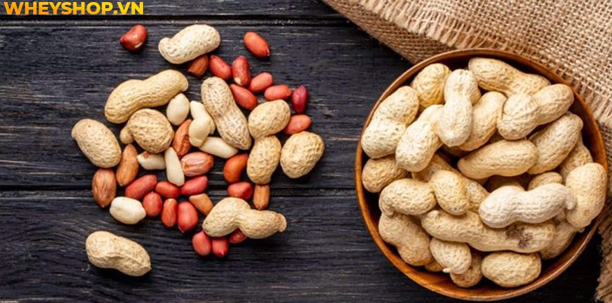 Nếu bạn đang băn khoăn khoai lang mọc mầm có ăn được không thì hãy cùng WheyShop tham khảo chi tiết bài viết ngay sau đây nhé...