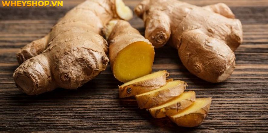 Nếu bạn đang băn khoăn khoai lang mọc mầm có ăn được không thì hãy cùng WheyShop tham khảo chi tiết bài viết ngay sau đây nhé...