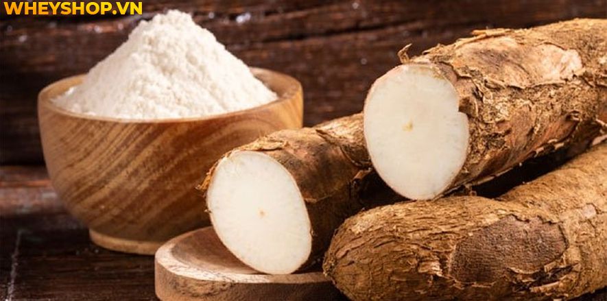 Nếu bạn đang băn khoăn khoai lang mọc mầm có ăn được không thì hãy cùng WheyShop tham khảo chi tiết bài viết ngay sau đây nhé...