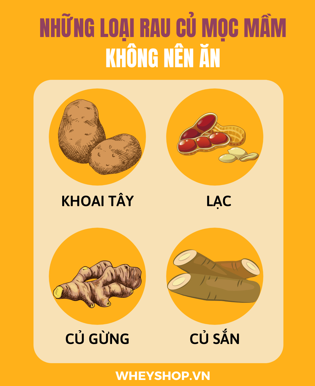 Nếu bạn đang băn khoăn khoai lang mọc mầm có ăn được không thì hãy cùng WheyShop tham khảo chi tiết bài viết ngay sau đây nhé...