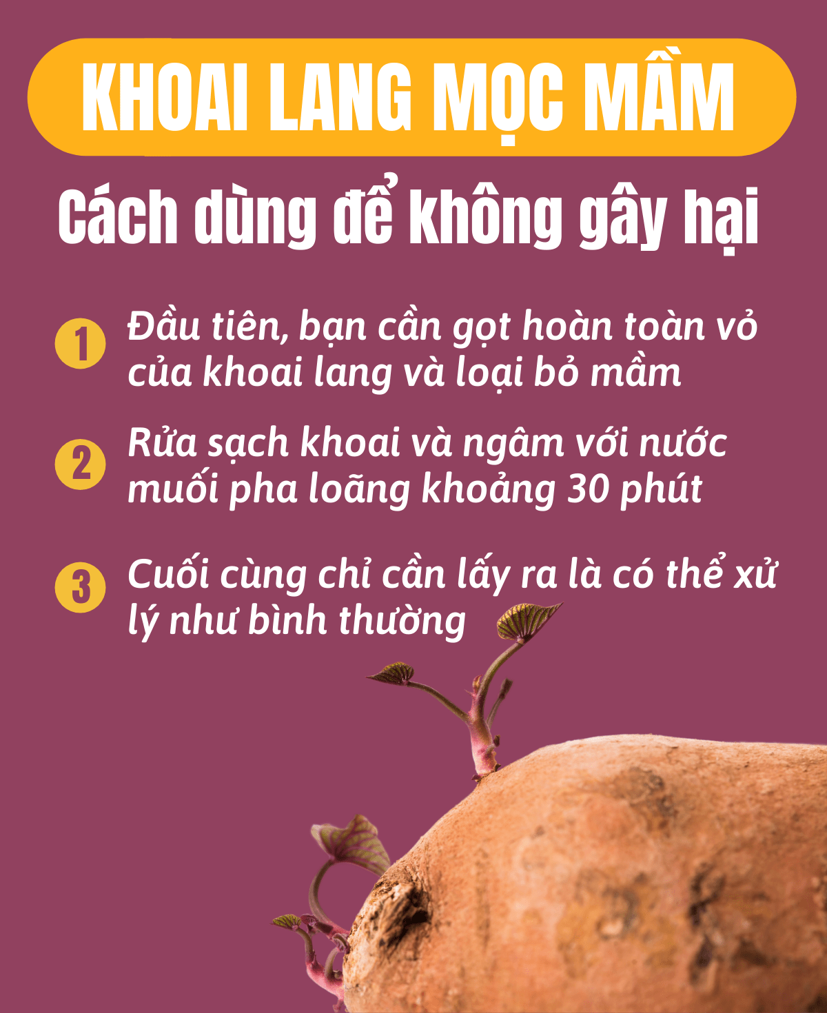 Nếu bạn đang băn khoăn khoai lang mọc mầm có ăn được không thì hãy cùng WheyShop tham khảo chi tiết bài viết ngay sau đây nhé...