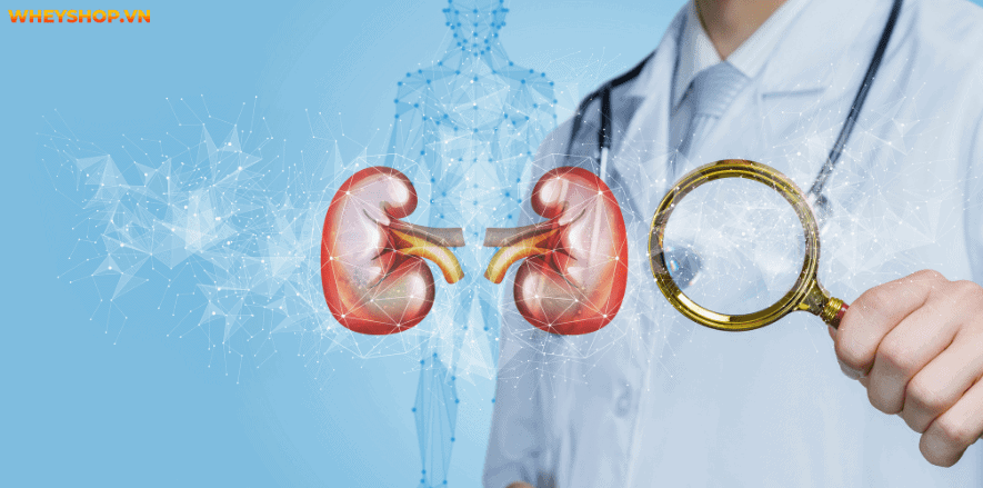 Khoai sọ hay là thực phẩm giàu dinh dưỡng, được sử dụng phổ biến. Tuy nhiên nhiều người thắc mắc: khoai sọ bao nhiêu calo? Cùng WheyShop và chuyên gia giải đáp...