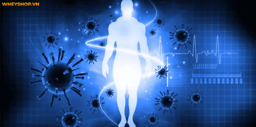 Khoai sọ hay là thực phẩm giàu dinh dưỡng, được sử dụng phổ biến. Tuy nhiên nhiều người thắc mắc: khoai sọ bao nhiêu calo? Cùng WheyShop và chuyên gia giải đáp...