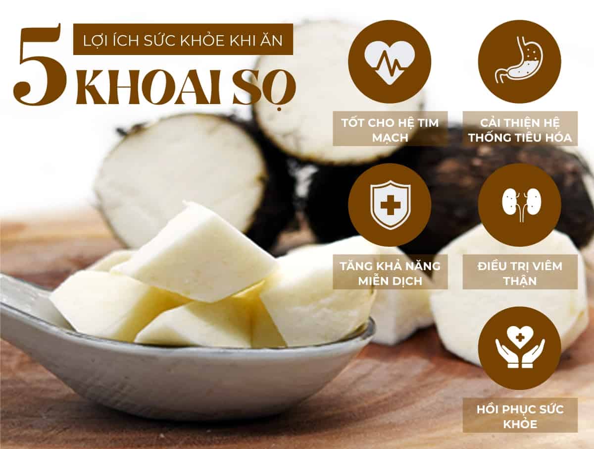 Khoai sọ hay là thực phẩm giàu dinh dưỡng, được sử dụng phổ biến. Tuy nhiên nhiều người thắc mắc: khoai sọ bao nhiêu calo? Cùng WheyShop và chuyên gia giải đáp...