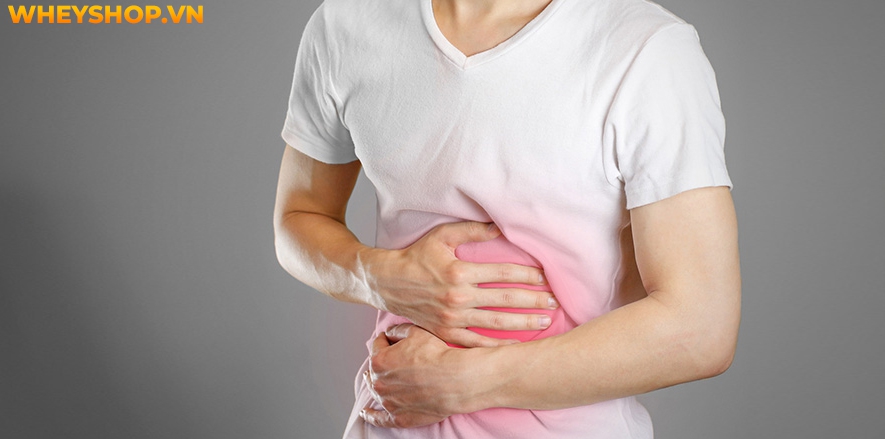 Chuối là loại trái cây quen thuộc, giàu dinh dưỡng. Tuy nhiên bạn đã hiểu rõ ăn chuối có tác dụng gì chưa? Cùng WheyShop tìm hiểu chi tiết qua bài viết...
