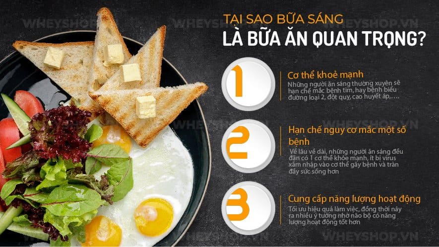 Lý do khiến bạn không ăn sáng như hạn chế thời gian, giảm cân... đều là vấn đề ảnh hưởng sức khỏe. Hãy cùng WheyShop tìm hiểu về câu hỏi không ăn sáng bị gì nhé