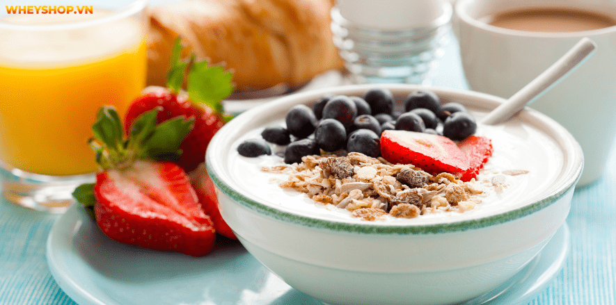 Lý do khiến bạn không ăn sáng như hạn chế thời gian, giảm cân... đều là vấn đề ảnh hưởng sức khỏe. Hãy cùng WheyShop tìm hiểu về câu hỏi không ăn sáng bị gì nhé