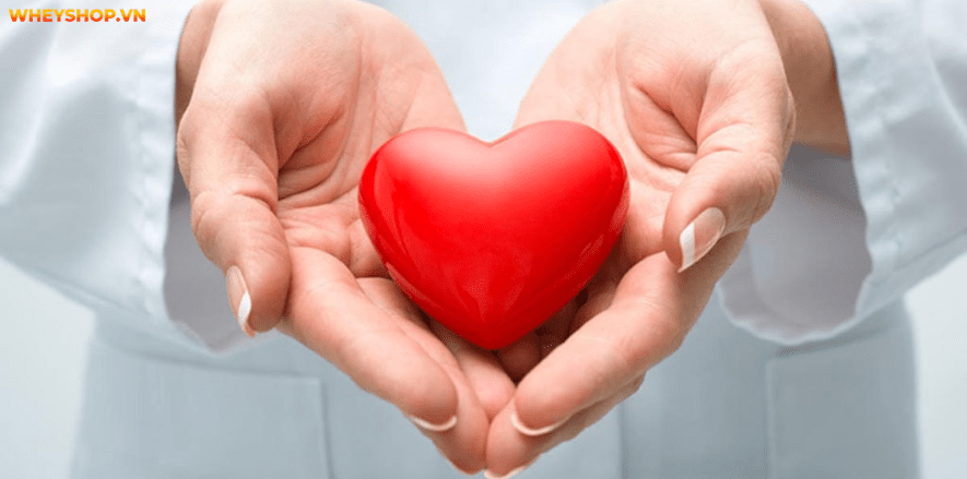 Lý do khiến bạn không ăn sáng như hạn chế thời gian, giảm cân... đều là vấn đề ảnh hưởng sức khỏe. Hãy cùng WheyShop tìm hiểu về câu hỏi không ăn sáng bị gì nhé