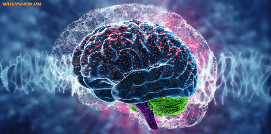 Lý do khiến bạn không ăn sáng như hạn chế thời gian, giảm cân... đều là vấn đề ảnh hưởng sức khỏe. Hãy cùng WheyShop tìm hiểu về câu hỏi không ăn sáng bị gì nhé