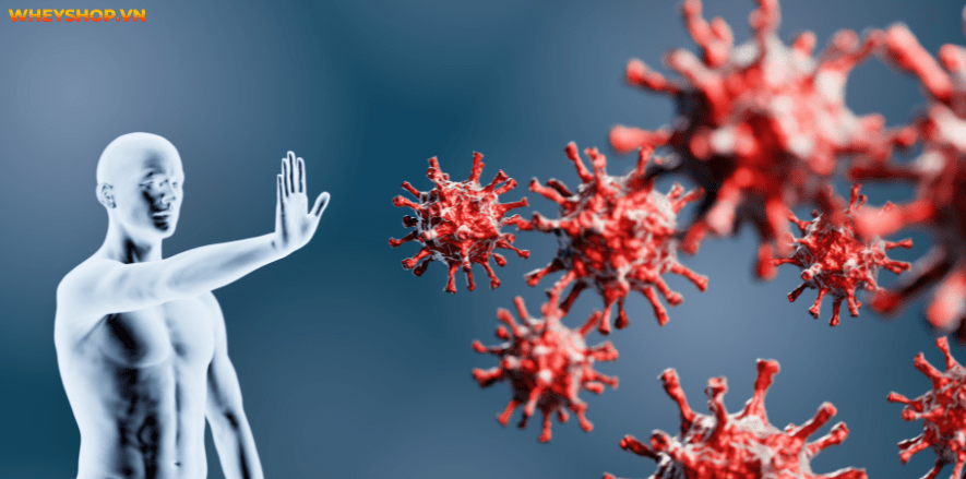 Lý do khiến bạn không ăn sáng như hạn chế thời gian, giảm cân... đều là vấn đề ảnh hưởng sức khỏe. Hãy cùng WheyShop tìm hiểu về câu hỏi không ăn sáng bị gì nhé